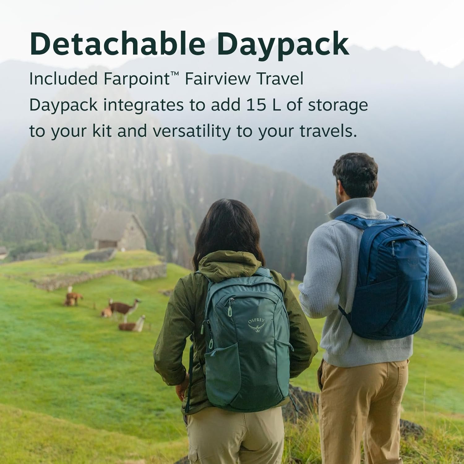 Osprey Farpoint 70L Men's Travel Backpack - Large ... - Image 4